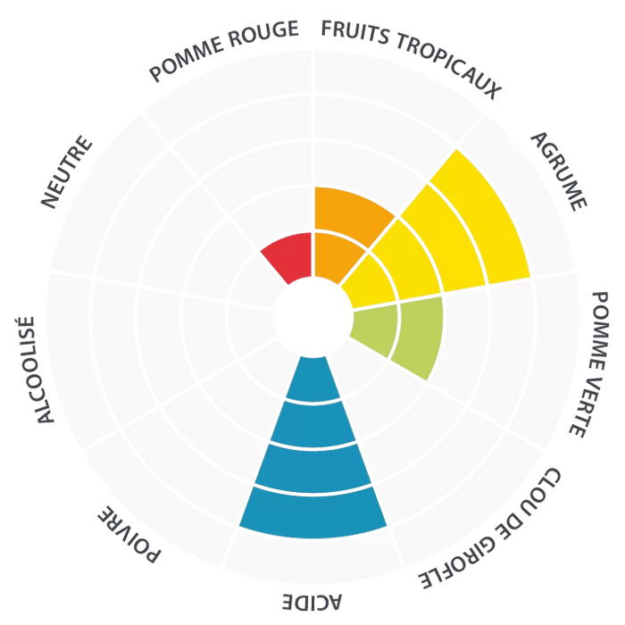 WildBrew Sour Pitch Flavor Wheel - Lallemand