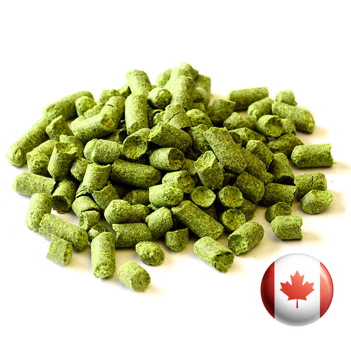 Houblon granule Chinook bio